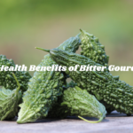 Bitter Gourd or Karela and Its Incomparable Health Benefits